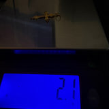 22K Gold Hollow Cross Pendant